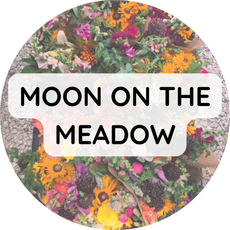 Moon On The Meadow