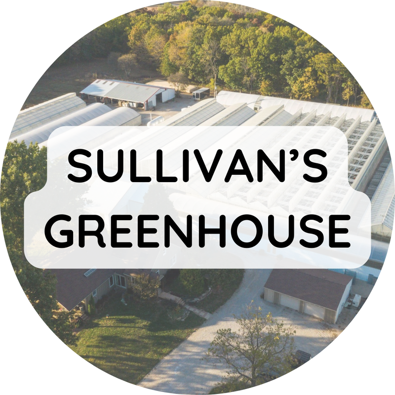 Sullivan's Greenhouse