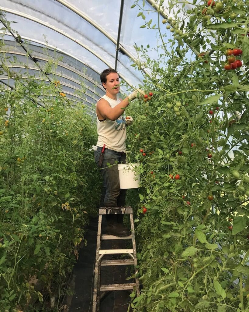 Pat & Rachels Gardens